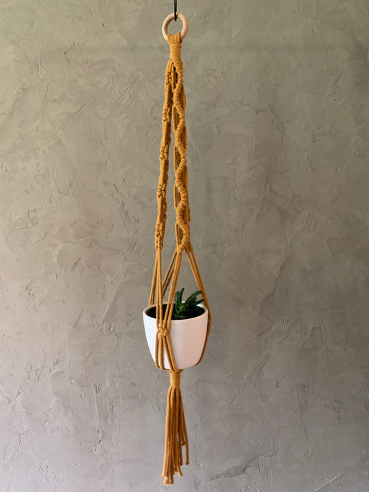 Plöntuhengi / Mustard