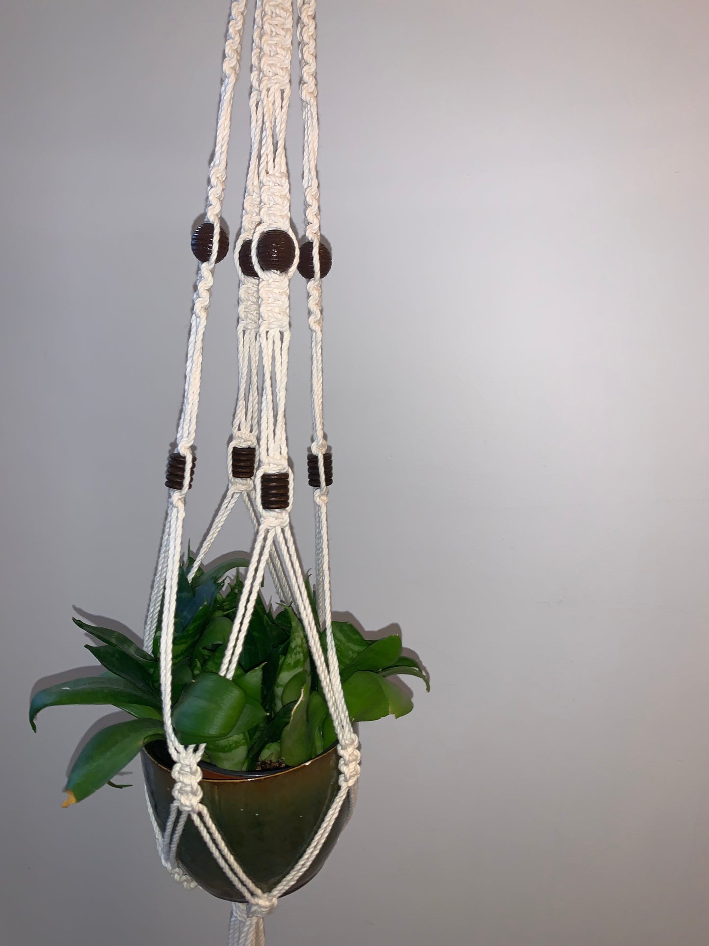 Plöntuhengi / Natural / fjögurra arma