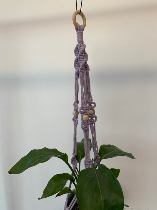 Plöntuhengi / Lavender