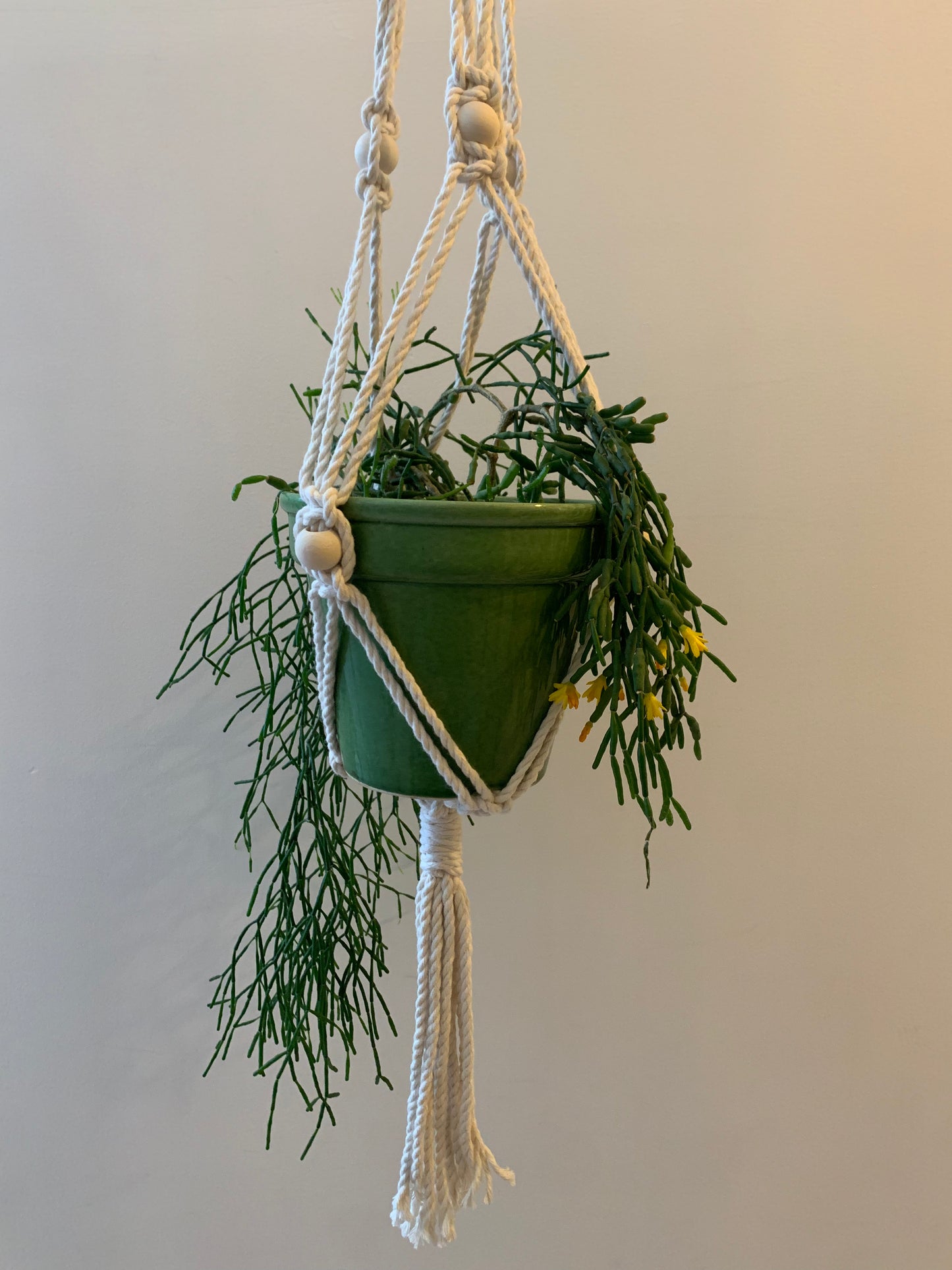 Plöntuhengi / Natural með viðarkúlum