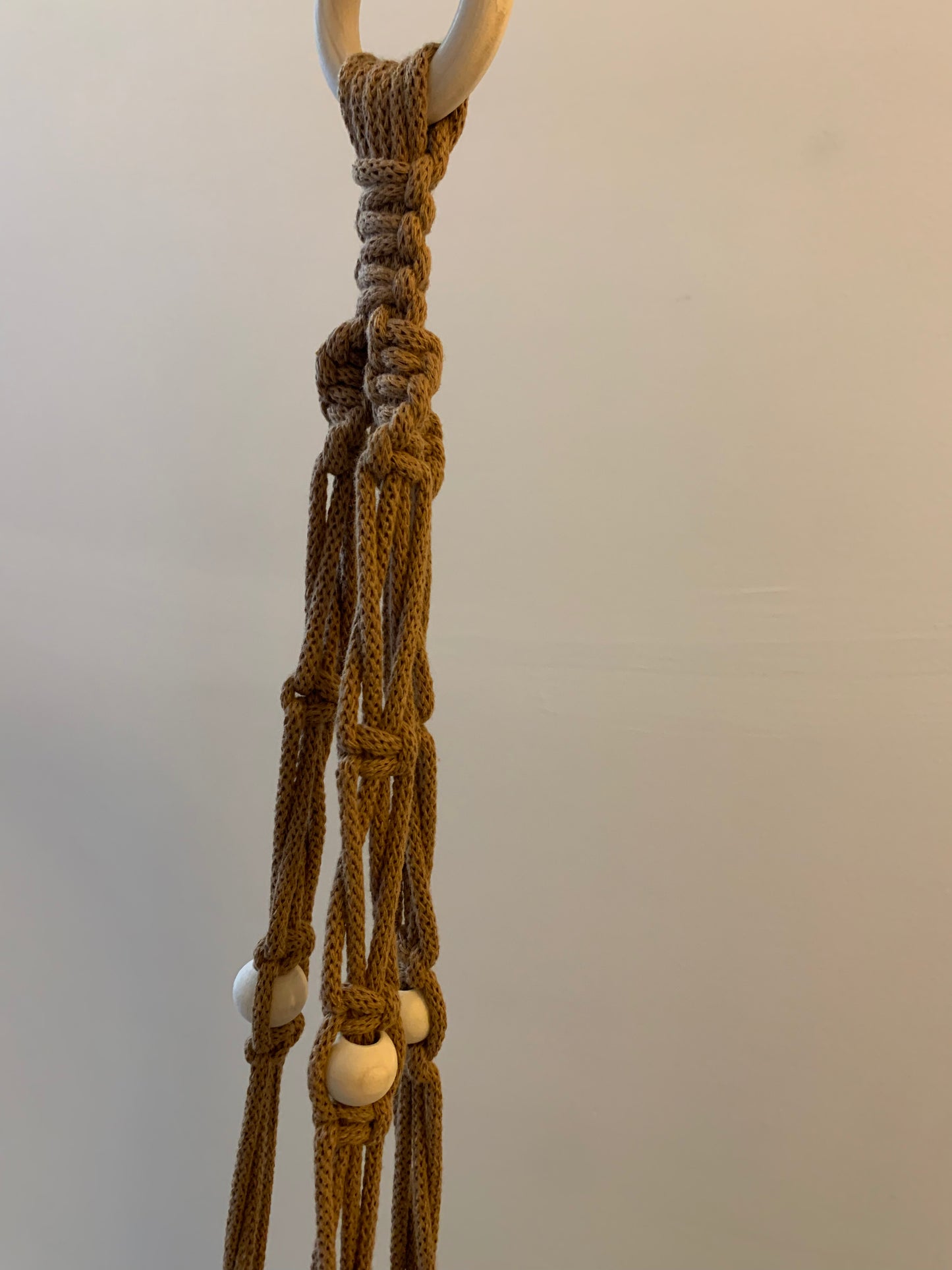 Plöntuhengi / Caramel