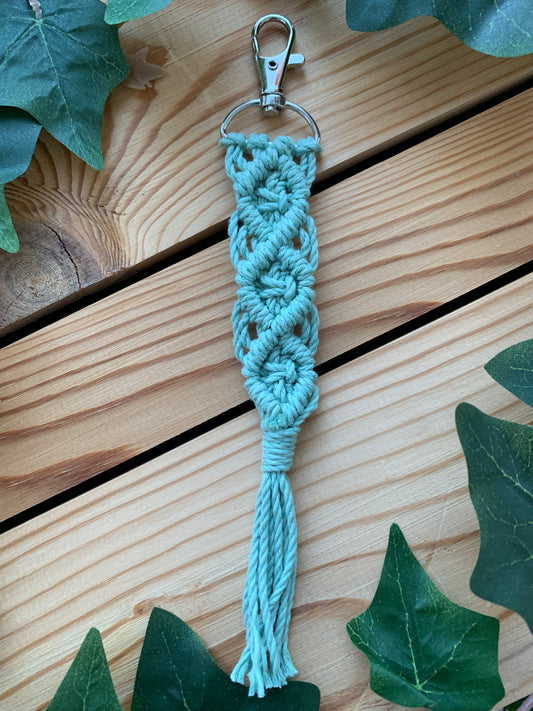 Lyklakippa / Töskuskraut / Aloe grænn