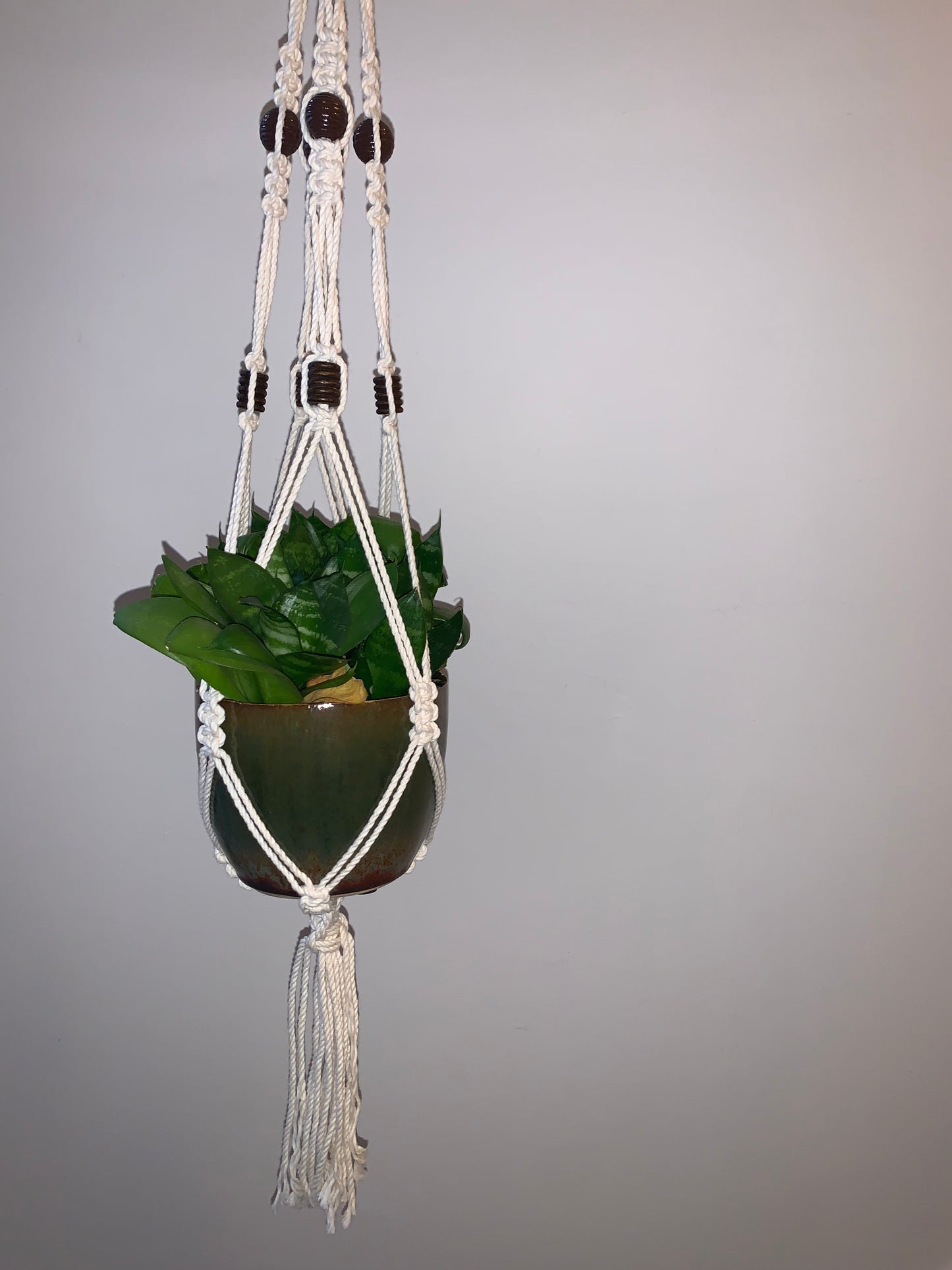 Plöntuhengi / Natural / fjögurra arma