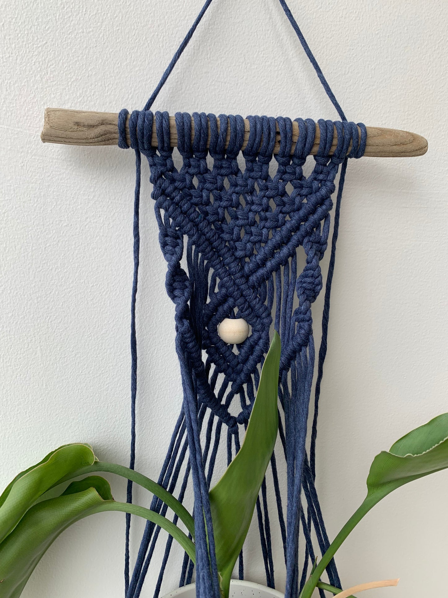 Plöntuvegghengi / Jean