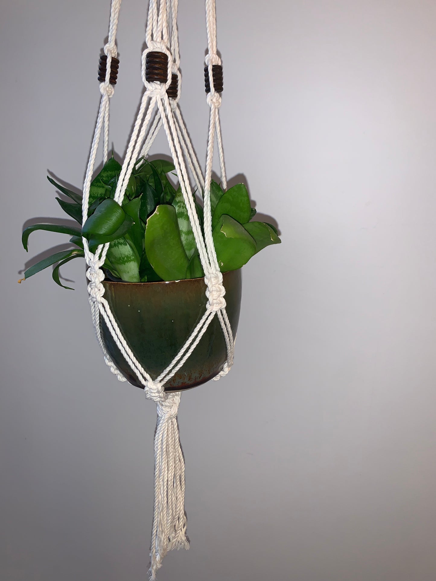 Plöntuhengi / Natural / fjögurra arma