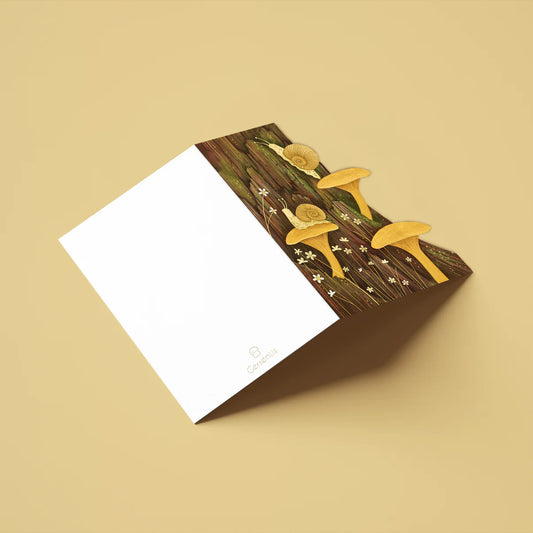 Tækifæriskort opnanlegt / Sniglar