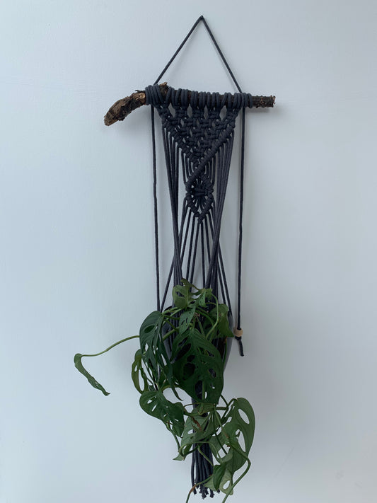 Plöntuhengi / Charcoal