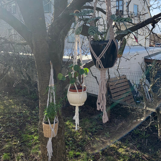 Macramé plöntuhengi / 15. maí