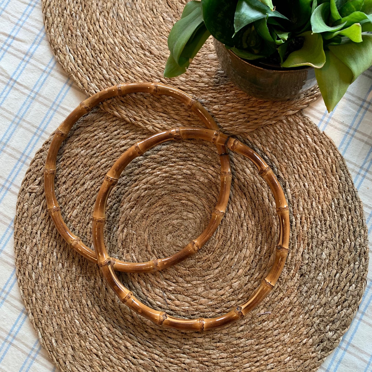 Bambushringir